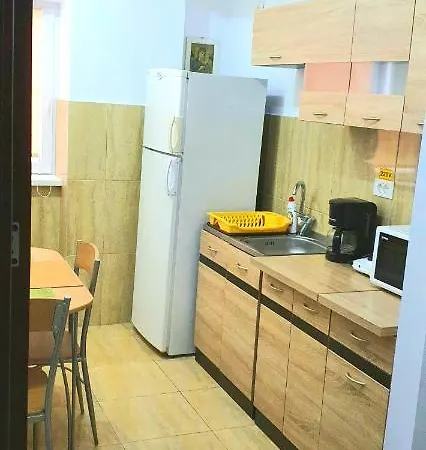 Apartament/studio Alexandru